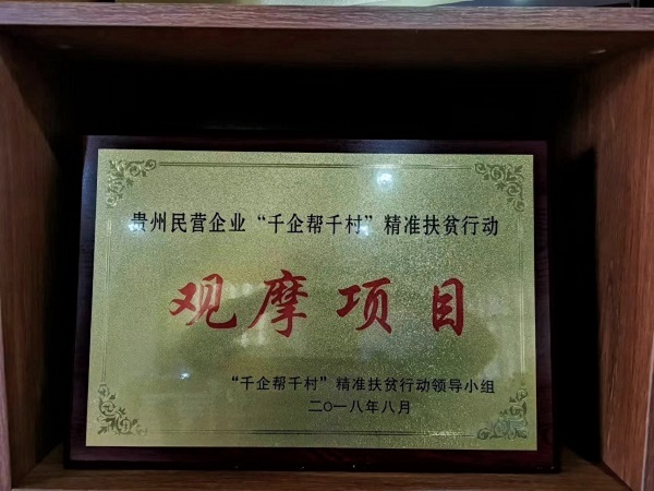 榮譽(yù)資質(zhì)